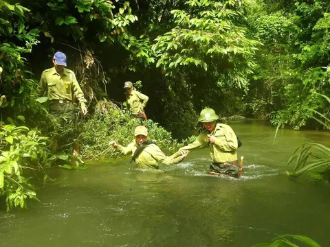 Tết của những người giữ rừng