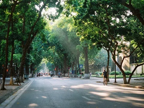 Dự báo thời tiết hôm nay 19/3:  Bắc Bộ ngày nắng, sáng sớm có sương mù