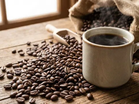 Giá cà phê hôm nay 19/3/2026: Giá cà phê tiếp tục tăng, trong nước dao động từ 91.800 - 93.100 đồng/kg