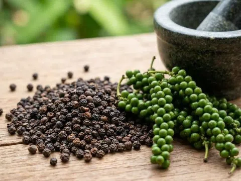 Giá tiêu hôm nay 27/3/2026: Thị trường đi ngang duy trì mức cao