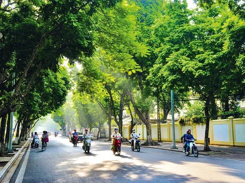 Dự báo thời tiết 31/3/2026: Bắc Bộ nắng nóng cao điểm