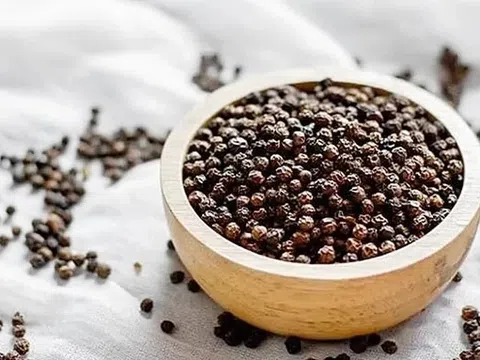 Giá tiêu hôm nay 31/3/2026: Thị trường ổn định, xu hướng phục hồi