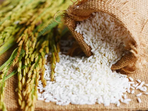 Giá lúa gạo hôm nay 5/4: Giao dịch trầm lắng