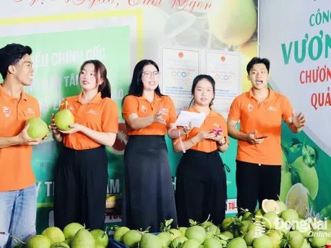 Kinh tế nội dung và sự dịch chuyển của chuỗi giá trị nông sản