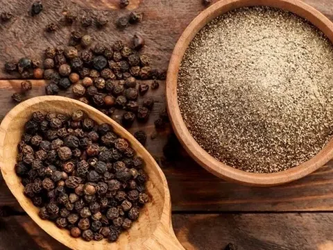 Giá tiêu hôm nay 7/4/2026: Không có biến động mới