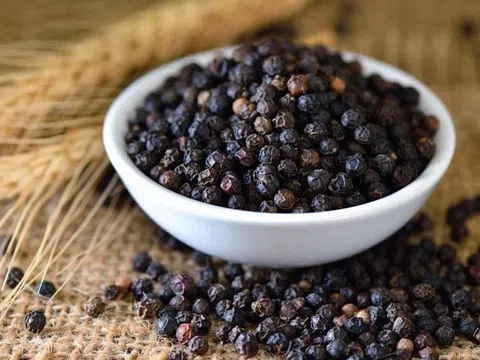 Giá tiêu hôm nay 9/4/2026: Ghi nhận đà tăng nhẹ