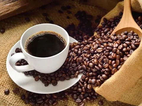 Giá cà phê hôm nay 10/4/2026: Phục hồi trở lại