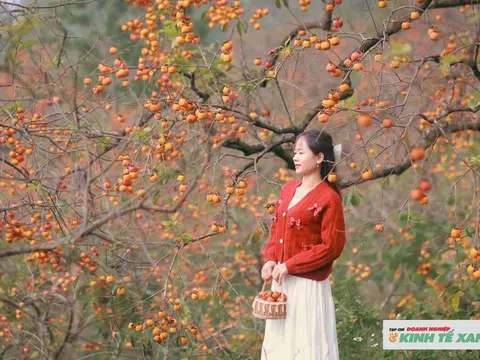 Mê mẩn vườn hồng cổ hoang sơ dưới chân núi Đại Huệ