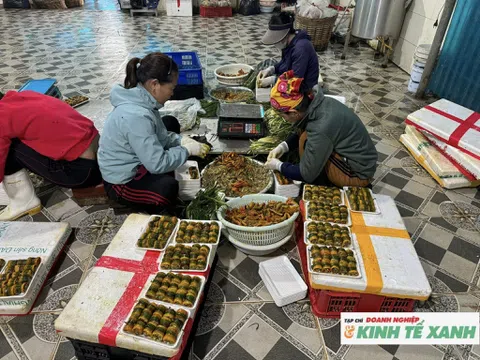 Làng Phan Thanh tất bật chế biến lươn phục vụ thị trường Tết