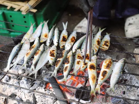 Cá trích nướng “cháy hàng” dưới chân đền Cờn dịp đầu xuân