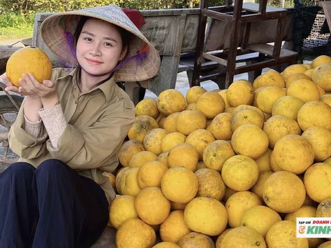 Nữ cử nhân Luật rời phố về quê làm “người kể chuyện nông sản”