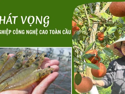 Thanh Hóa và khát vọng nông nghiệp công nghệ cao toàn cầu