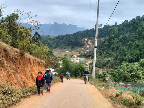 Giữ rừng để sống