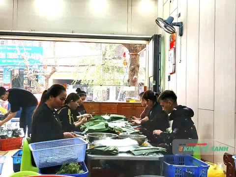 Mùa nem Tết, lao động thời vụ bội thu