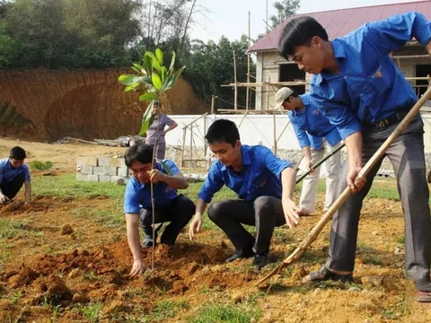 Thanh Hóa tổ chức Tết trồng cây 2026, hướng tới môi trường xanh – bền vững