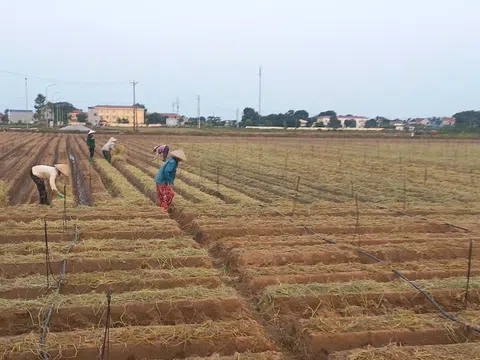 Giữ lộc thần tài bằng mùa vàng thần nông