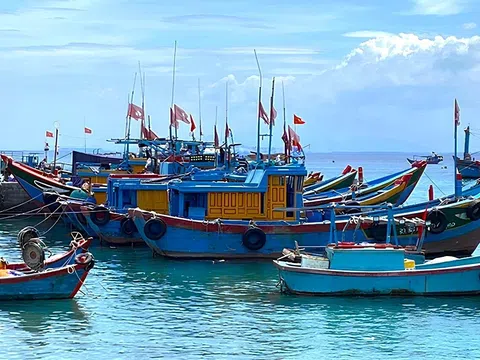 Thanh Hóa: Quyết liệt “làm sạch” đội tàu, dồn lực gỡ “thẻ vàng” thủy sản