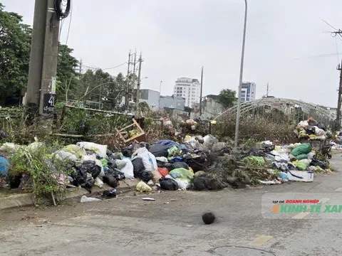 Bãi rác Đông Nam – Khi lán trại không còn là lối thoát