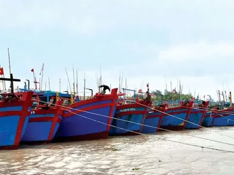 Ninh Bình siết chặt quản lý, quyết tâm cùng cả nước gỡ “thẻ vàng” IUU