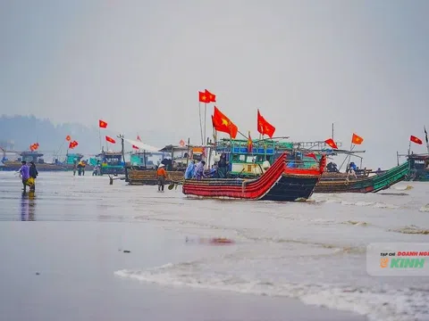 Về Nam Sầm Sơn xem bà con thu hoạch "vàng trắng" trên sóng biển