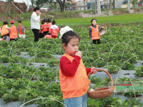 Khi nông nghiệp chọn hướng đi từ sự trải nghiệm