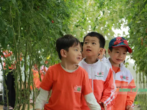 Chạm tay vào nông nghiệp sạch: Khi vườn dâu trở thành lớp học