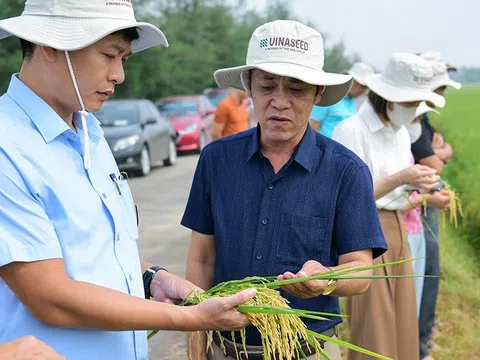Ninh Bình – Nông nghiệp đa giá trị bứt phá