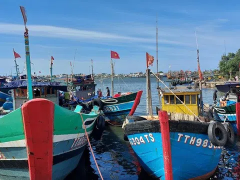 Đồng Tháp: Hỗ trợ giải bản tàu cá không còn nhu cầu khai thác