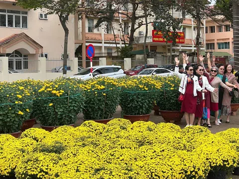 Sắc xuân tại các làng hoa trên cao nguyên Đắk Lắk