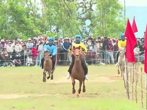 Hội đua ngựa truyền thống mừng Xuân Bính Ngọ 2026 tại Đắk Lắk