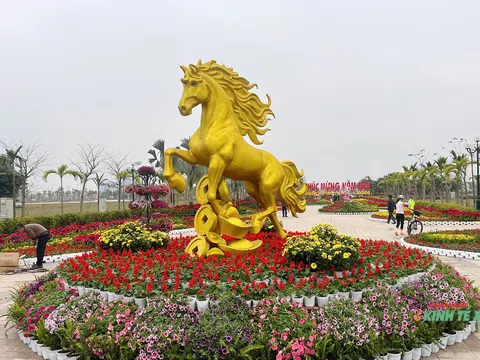 Cụm linh vật ngựa nhận được “cơn mưa lời khen” từ người dân Hải Phòng