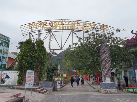 Chuyện những người dành cả thanh xuân giữ rừng ở Vườn quốc gia Cát Bà