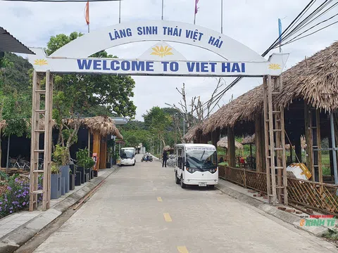 Điểm du lịch xanh độc đáo giữa lòng di sản Cát Bà