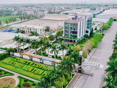 Một “ông lớn” ngành nhựa mạnh tay chi 256 tỷ đồng tạm ứng cổ tức