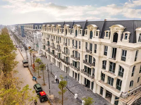 Sunshine Group ghi dấu ấn tái cấu trúc với lợi nhuận hơn 11.200 tỷ đồng năm 2025