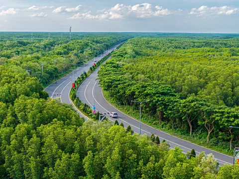 TP.HCM phát triển khu du lịch sinh thái rừng phòng hộ Cần Giờ gần 35.000 ha