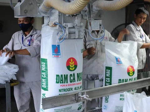 Đạm Cà Mau đặt mục tiêu lợi nhuận 2026 đạt hơn 1.100 tỷ đồng, dự kiến chia cổ tức bằng tiền mặt 20%