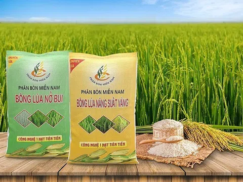 Phân bón Miền Nam đặt mục tiêu lợi nhuận đạt 42 tỷ đồng năm 2026