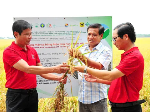 Tháo gỡ “nút thắt” vốn xanh để thúc đẩy cạnh tranh doanh nghiệp