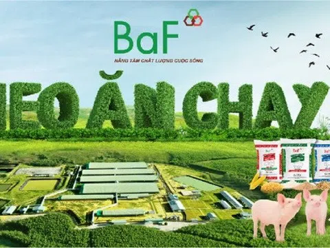 BAF đặt mục tiêu lợi nhuận gần 800 tỷ đồng năm 2026