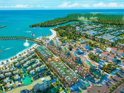 Toàn Hải Vân báo lãi ròng gần 6,6 tỷ đồng năm 2025