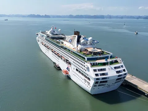 Quảng Ninh đón loạt tàu biển hạng sang dịp Tết Nguyên đán Bính Ngọ 2026