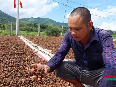 Quảng Ninh: Xây dựng chính sách đặc thù về lĩnh vực nông nghiệp