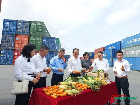 Liên kết ba bên: Mở hướng tiêu thụ bền vững cho nông sản Hải Phòng