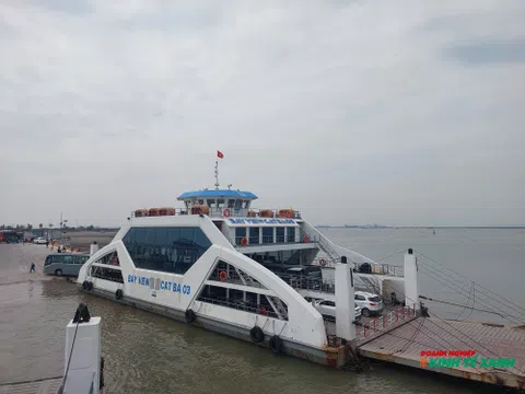 Hải Phòng: Miễn giảm giá dịch vụ sử dụng phà Đồng Bài – Cái Viềng
