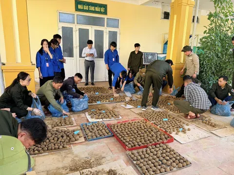 Hà Tĩnh: “Bom hạt giống” - Lan tỏa thông điệp bảo vệ, phát triển rừng bền vững