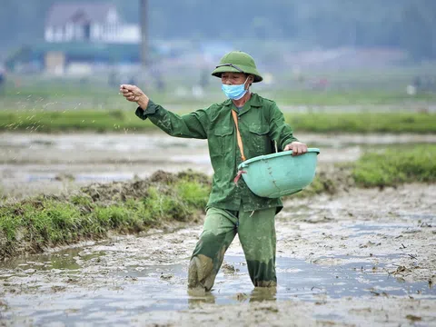 Nông dân Hà Tĩnh tăng tốc sản xuất lúa vụ Xuân