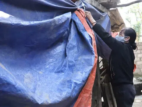 Hà Tĩnh: Nông dân chủ động phòng chống rét cho đàn vật nuôi