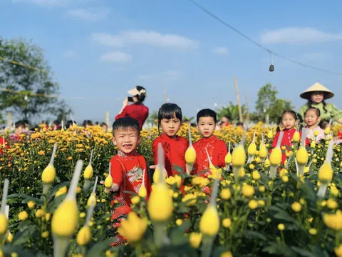 Sắc xuân trên những vườn hoa tại Hà Tĩnh