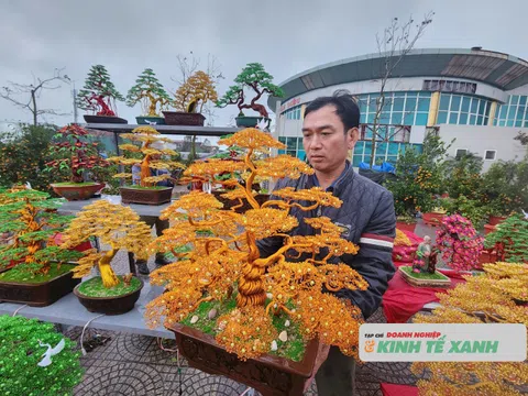Độc đáo những cây Bonsai làm từ dây đồng phục vụ thị trường tết tại Hà Tĩnh